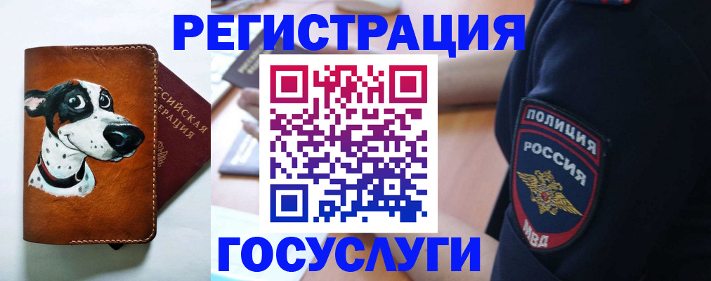 временная регистрация в квартире в Магадане
